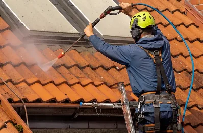 Démoussage et hydrofuge de toiture à Jons